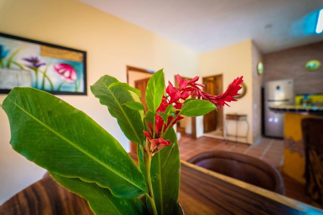 Casa Palmito Cerca De La Playa Villa Yelapa Eksteriør billede